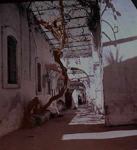 Tlemcen 504- Rue dans vieux Tlemcen